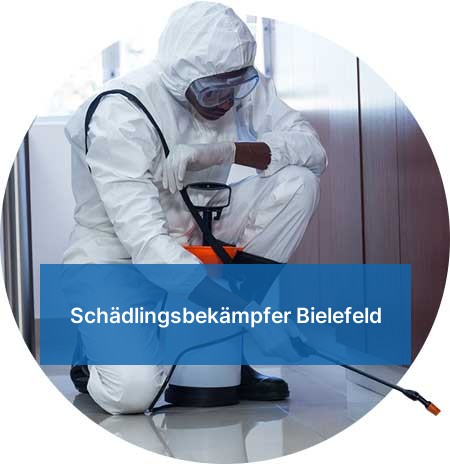 Schädlingsbekämpfer Bielefeld