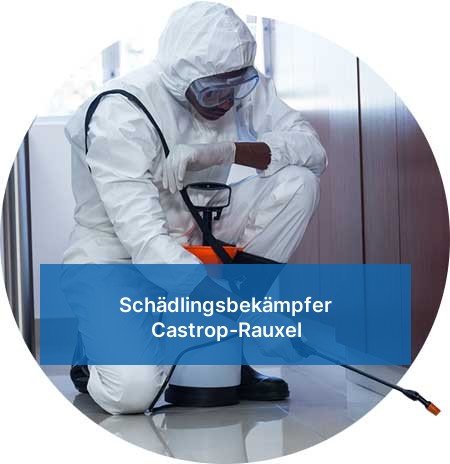 Schädlingsbekämpfer Castrop-Rauxel