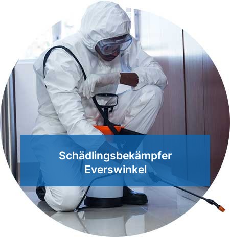 Schädlingsbekämpfer Everswinkel