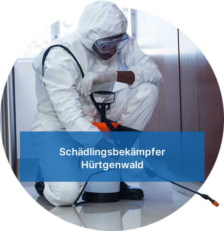 Schädlingsbekämpfer Hürtgenwald