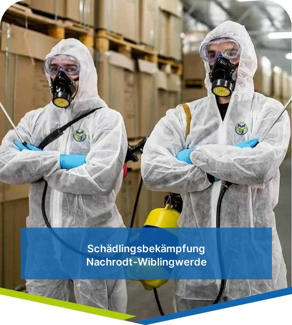 Schädlingsbekämpfung Nachrodt-Wiblingwerde