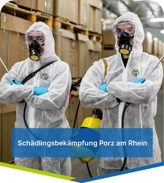 Schädlingsbekämpfung Porz am Rhein